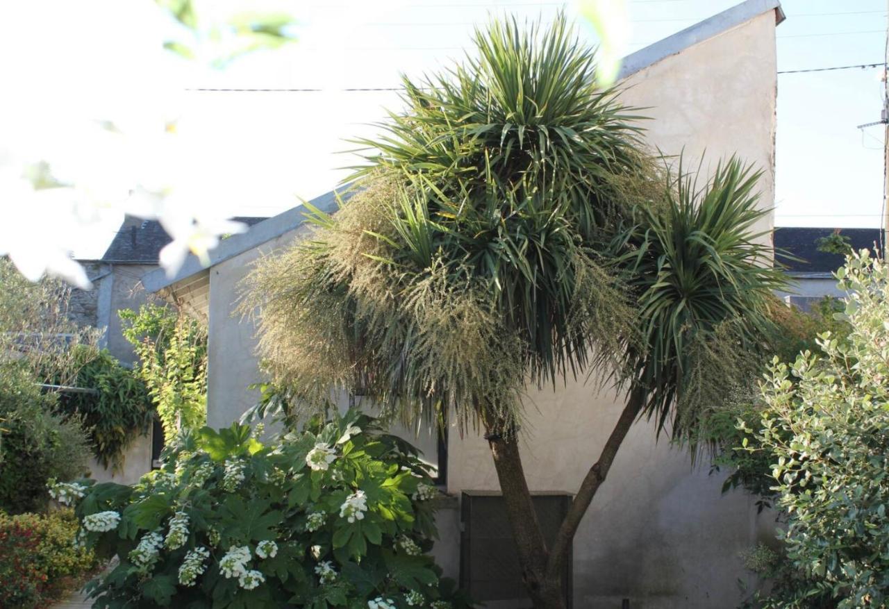 Duplex Confort Et Jardin Charmant نانت المظهر الخارجي الصورة